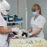 Волгоградский ветеринарный центр хирургии и травматологии Фото 2 на проекте VetSpravka.ru