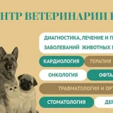 Центр ветеринарии ВолгГМУ Фото 2 на проекте VetSpravka.ru